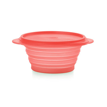 Mini Max Container 700 ml